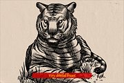 Tigers poses engraving, an Object Illustration by Arthur Balitskiy (Thumbnail 3 of 5)