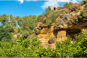 The kolymbetra garden at the valley of the temples agrigento sicily italy, a Transportation Photo by Leonid Andronov