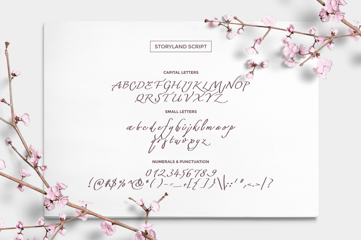 Wonderland Fonts Pack & Branding Kit, a Script Font by Graphicdome (Photo 45 of 118)