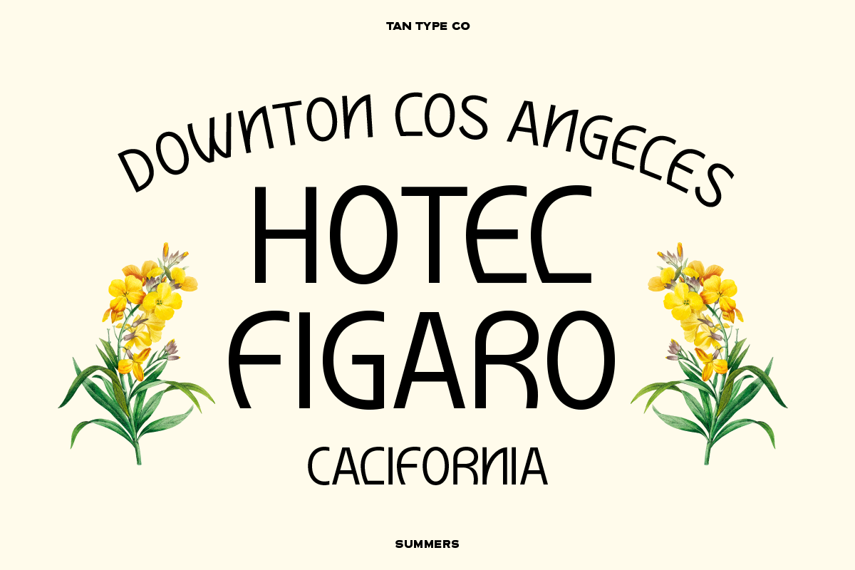 TAN - SUMMERS, a Sans Serif Font by TanType (Photo 2 of 10)