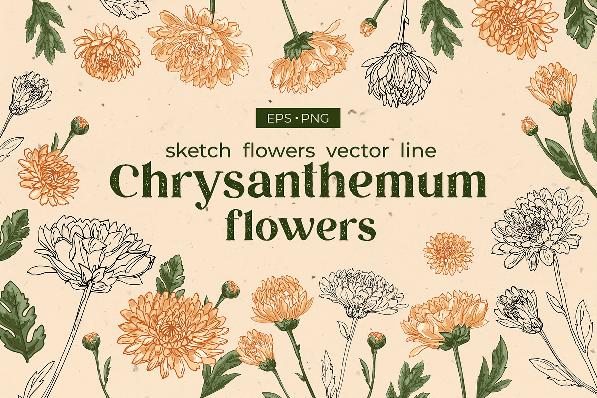GRAND BUNDLE FLOWERS vector sets 70%, an Object Graphic by irina.vaneeva (Photo 5 of 7)