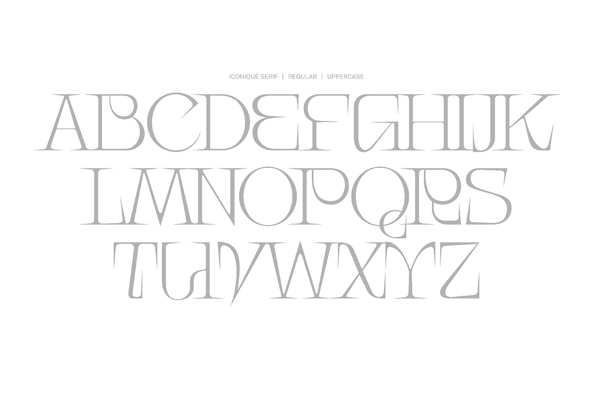 Iconique Serif Regular, a Serif Font by Nguyen Type (Photo 3 of 9)