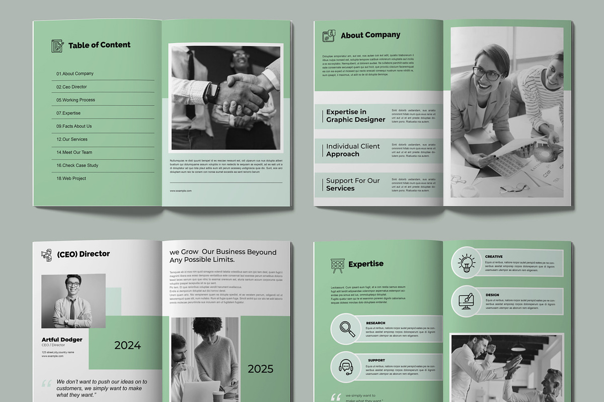 Proposal Brochure Template, a Brochure Template by ContestDesign (Photo 2 of 4)