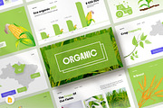 Agriculture Pitch Deck  Presentation, a Presentation Template by KreateTribe (Thumbnail 1 of 6)