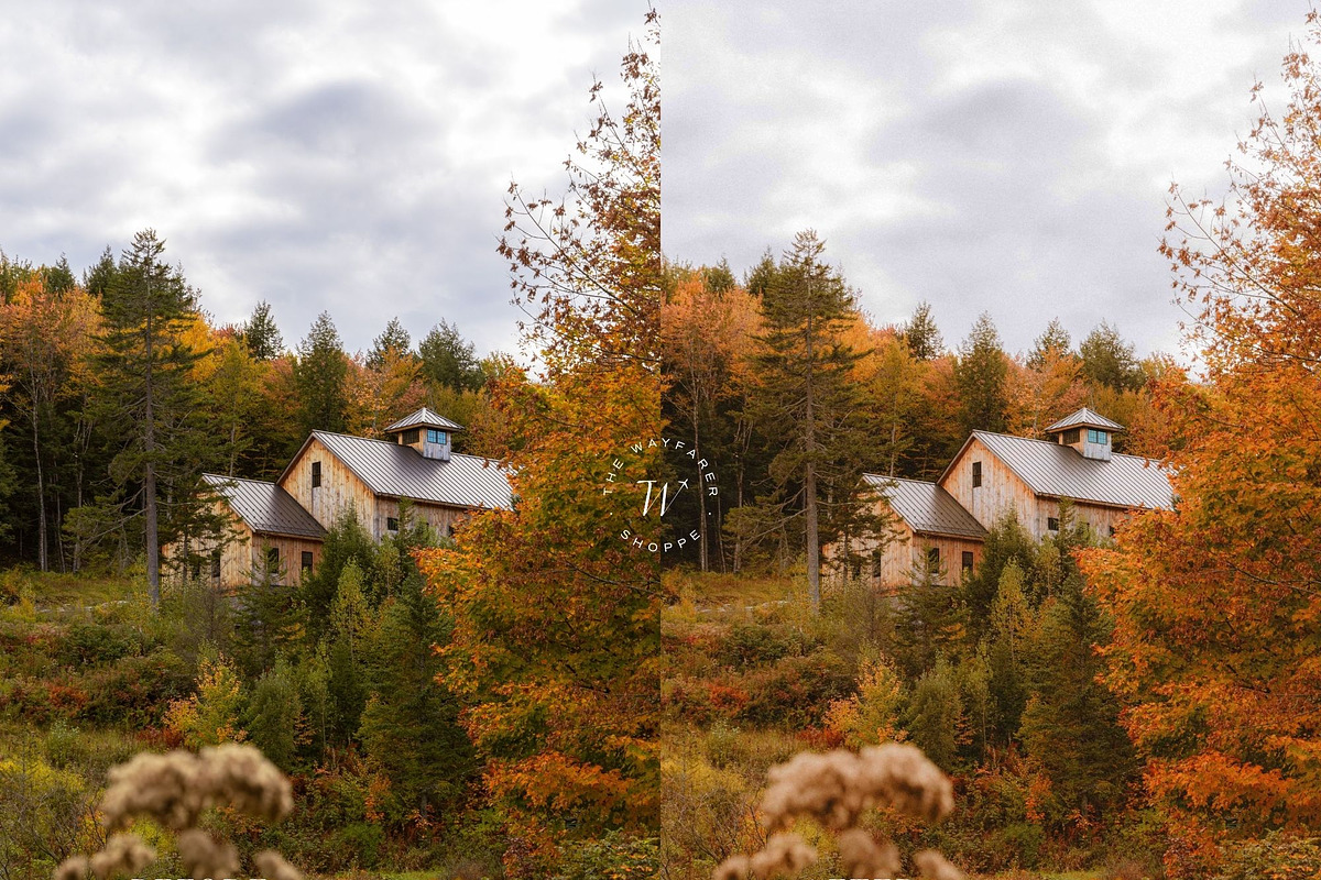 15 Vibrant Fall Lightroom Presets, a Preset Add-On by TheWayfarerShoppe (Photo 6 of 9)