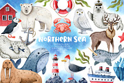 Northern Sea Watercolor Set, an Animal Illustration by Natalia Fedorova (Thumbnail 1 of 16)