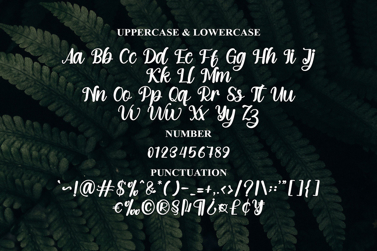 Elegant, a Handwritten Font by FreshTypeINK (Photo 8 of 8)
