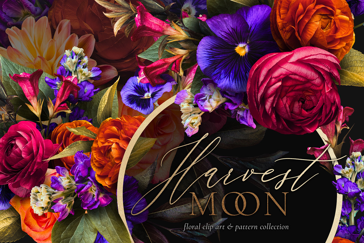 Harvest Moon Floral Clip Art Kit, an Object Graphic by Eclectic Anthology (Photo 1 of 21)