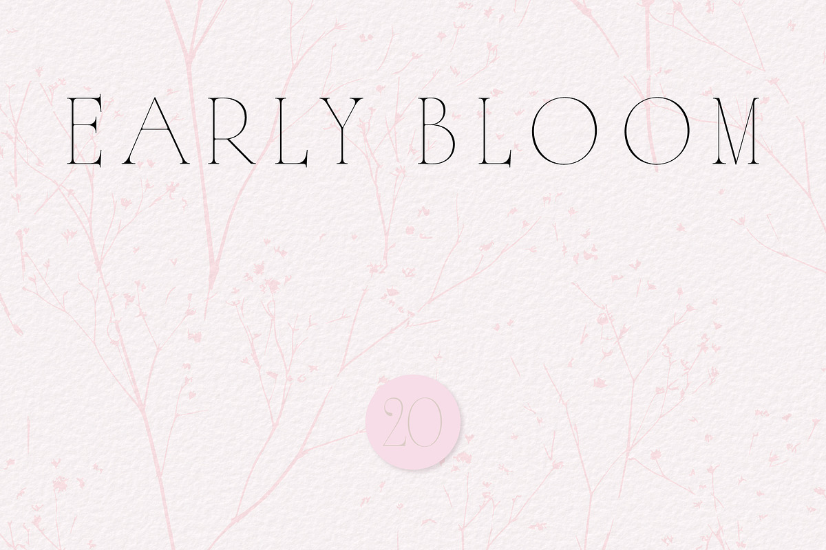 Botanical Background Collection, a Background Graphic by Anna Sokol (Photo 11 of 14)