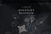 Mystic Floral Line Art Illustrations, an Illustration by Laras Wonderland (Thumbnail 4 of 9)