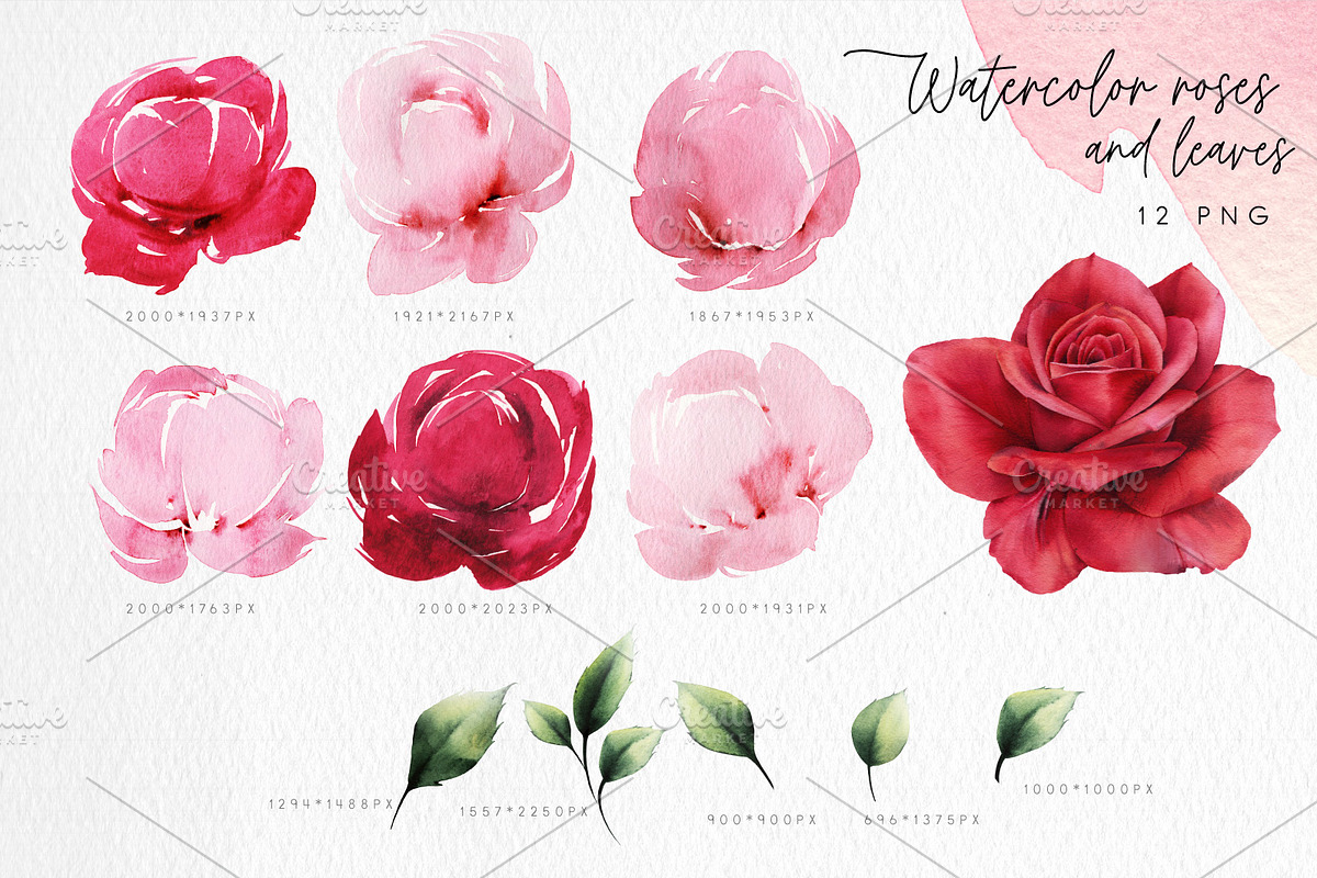 Watercolor Floral Bundle, a Texture Illustration by ollalya (Photo 14 of 112)