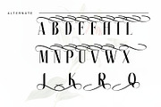 white over font serif, a Serif Font by azdaffstudio (Thumbnail 5 of 14)