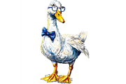 Prompt Pastel Goose Reading Clipart, a Decorative Illustration by Creative design (Thumbnail 5 of 7)
