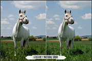 Leica Film Styles, a Plug-in Add-On by Raztrend (Thumbnail 4 of 30)