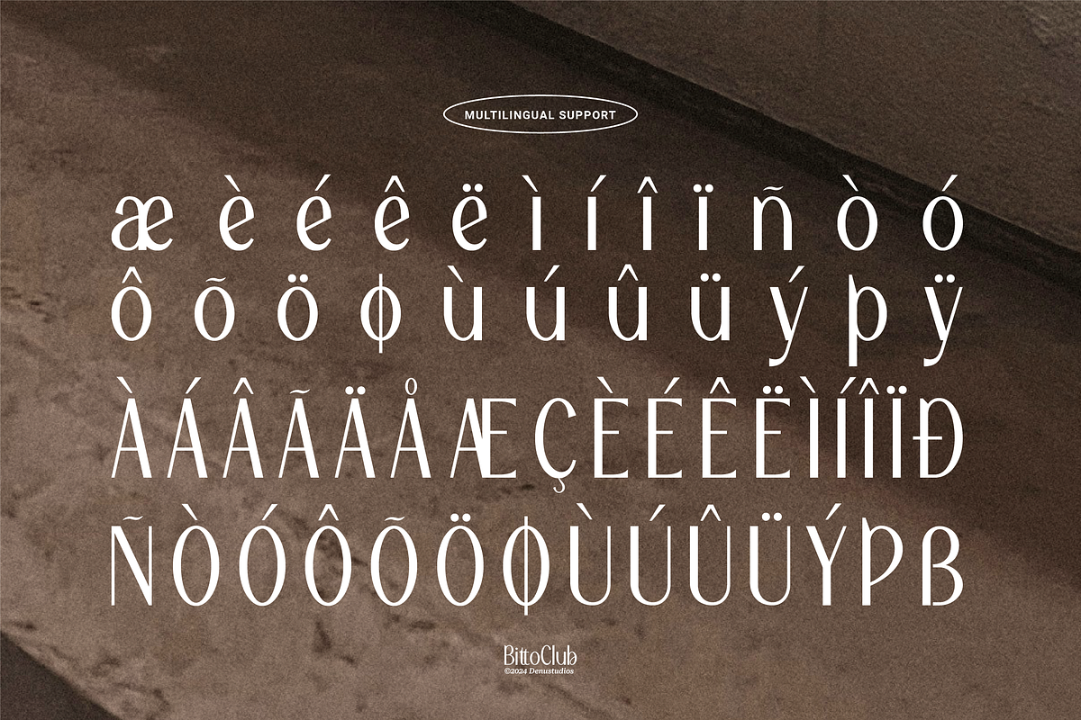Bitto Club | Modern Sans Serif, a Slab Serif Font by Denustudios (Photo 12 of 14)