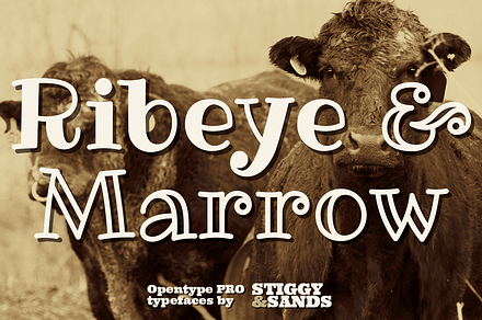 Ribeye Pro Family, a Font by Stiggy & Sands