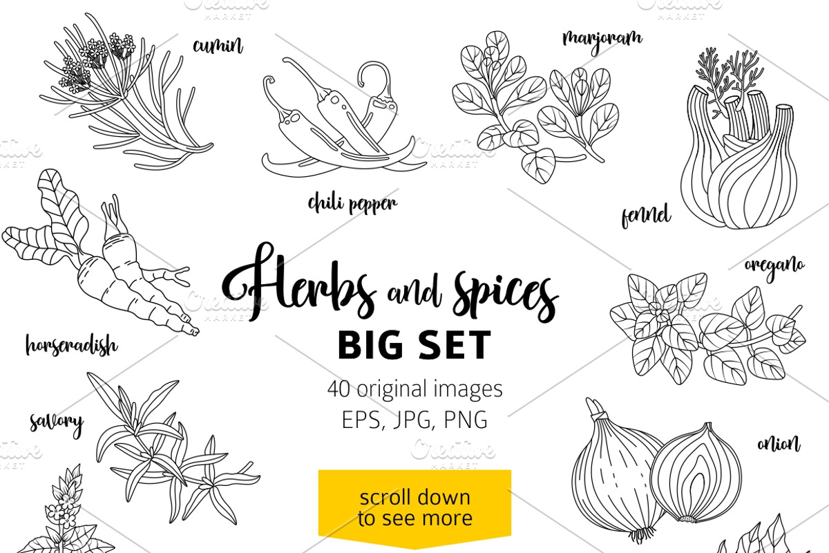 40 spices and herbs, a Food Illustration by Primula`s shop (Photo 2 of 2)
