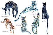 Watercolor WILD cats, an Animal Illustration by Anastasia (Thumbnail 9 of 13)