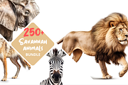 250+ Savannah Animals Photo Bundle, an Animal Photo by Virgo Studio (Thumbnail 1 of 6)