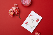 Poppy love watercolor, an Illustration by 7nov.studio (Thumbnail 6 of 7)
