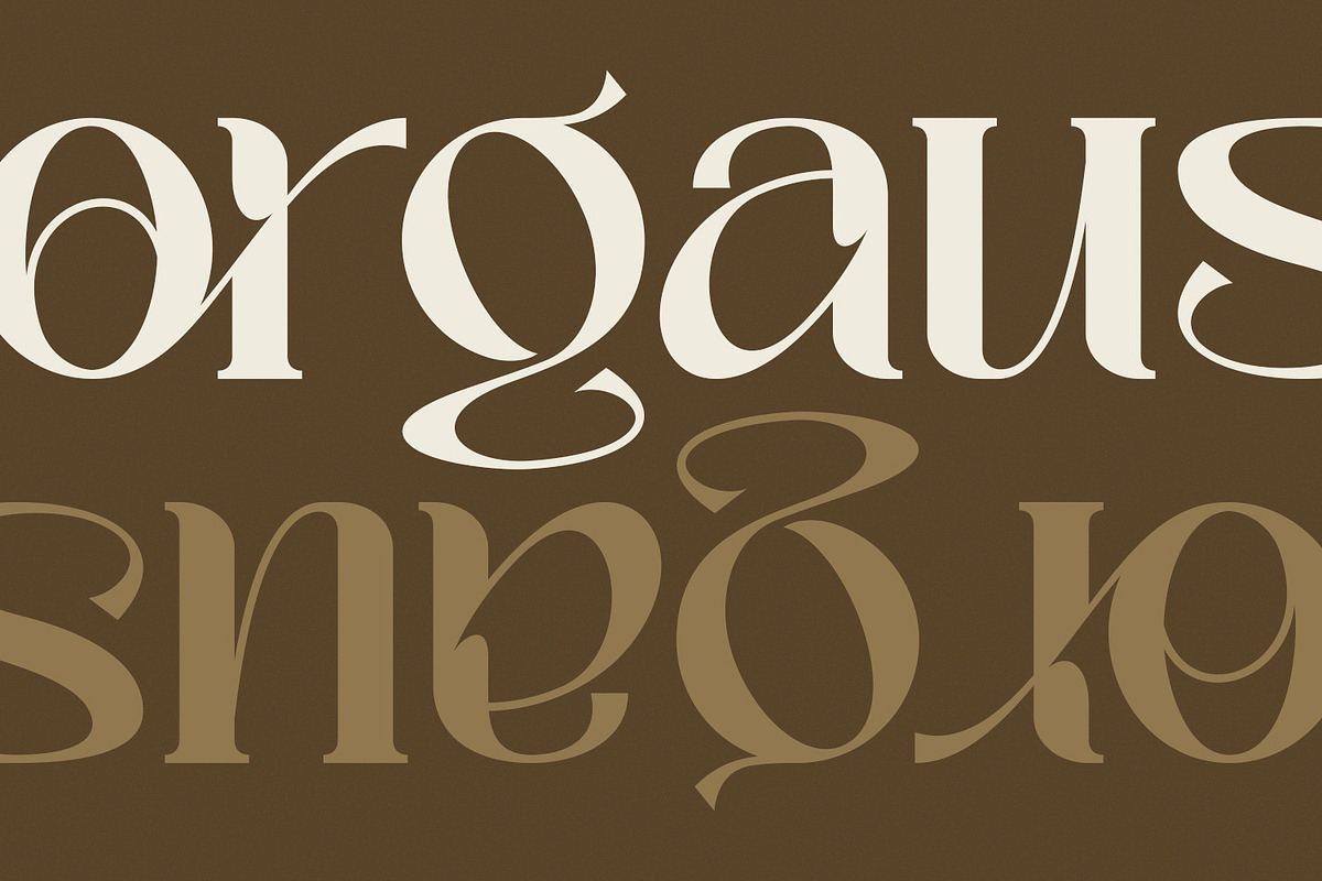 Palmer Sorjan - A Modern Serif, a Serif Font by Koplexs Studio (Photo 8 of 11)