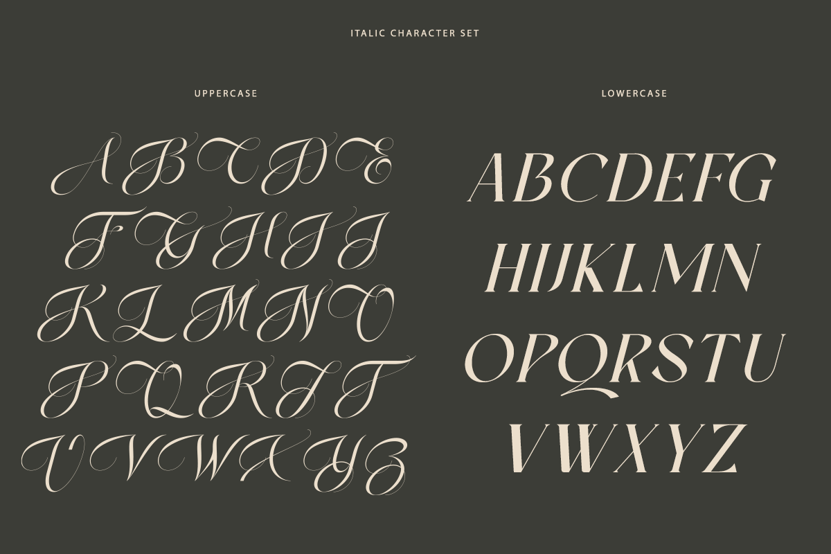 Ever Lasting - Modern Serif Font, a Serif Font by RagamKata (Photo 12 of 13)