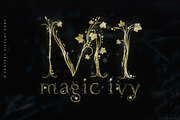 Magic Ivy. Botanical Font., a Serif Font by AnMark (Thumbnail 1 of 15)