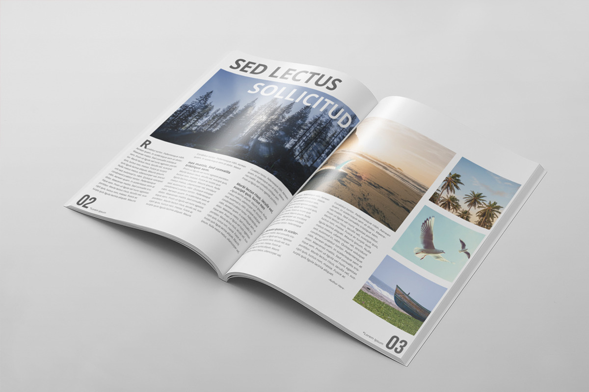 Magazine Template 48, a Magazine Template by pmvch (Photo 6 of 10)