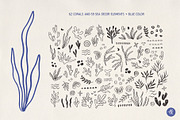 Sea Shells Whimsical Collection, an Object Graphic by Alena Koval (Thumbnail 8 of 19)