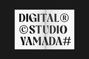 Mauline Display Serif Font, a Serif Font by Yukita Creative (Thumbnail 3 of 12)