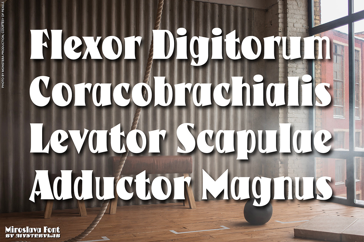 Miroslava Font, a Serif Font by Mysterylab Designs (Photo 5 of 9)