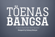 Toenas Bangsa Font Family, a Slab Serif Font by Bang Kumis Typefoundry (Thumbnail 1 of 8)