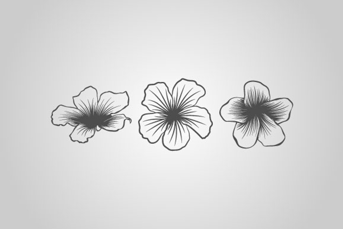 25 Tropical Designs (Vector) preview 4