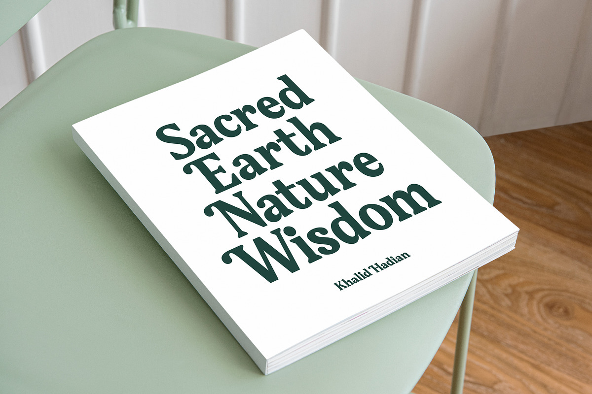 Gafjust Minfine Modern Serif, a Serif Font by timelesstype.co (Photo 2 of 20)