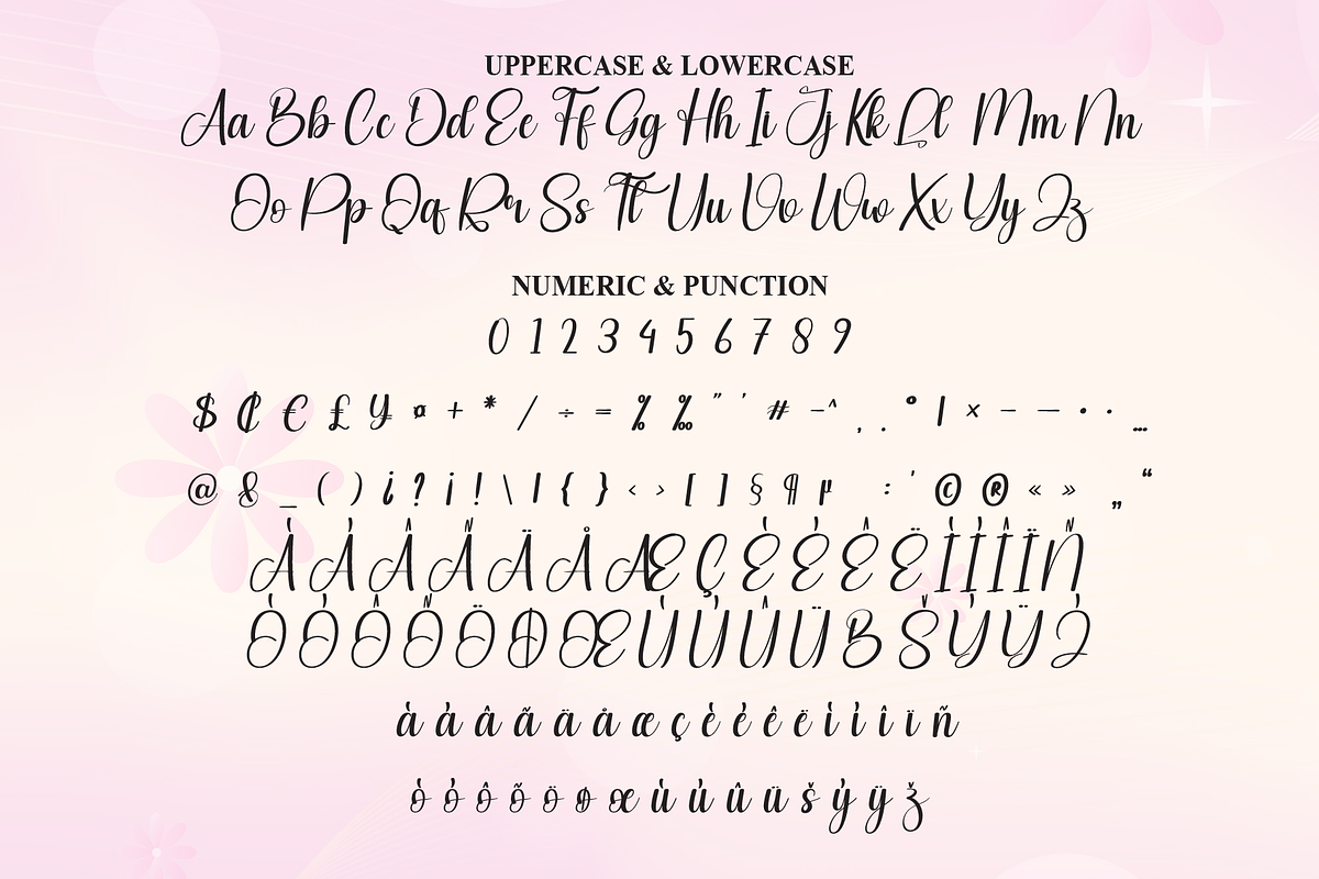 Blushing | Script Font, a Handwritten Font by Scratchones (Photo 7 of 9)