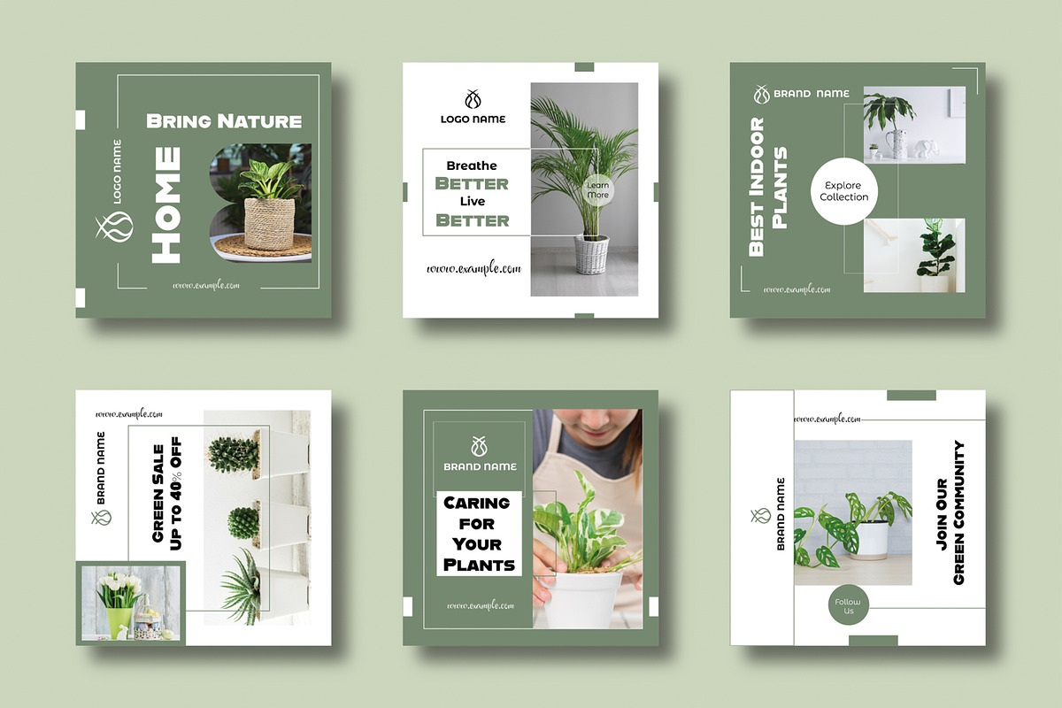 Green Lifestyle Plant Social Media preview 2