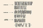 Autumn - Unique Display Serif, a Serif Font by Luna Shop (Thumbnail 2 of 6)