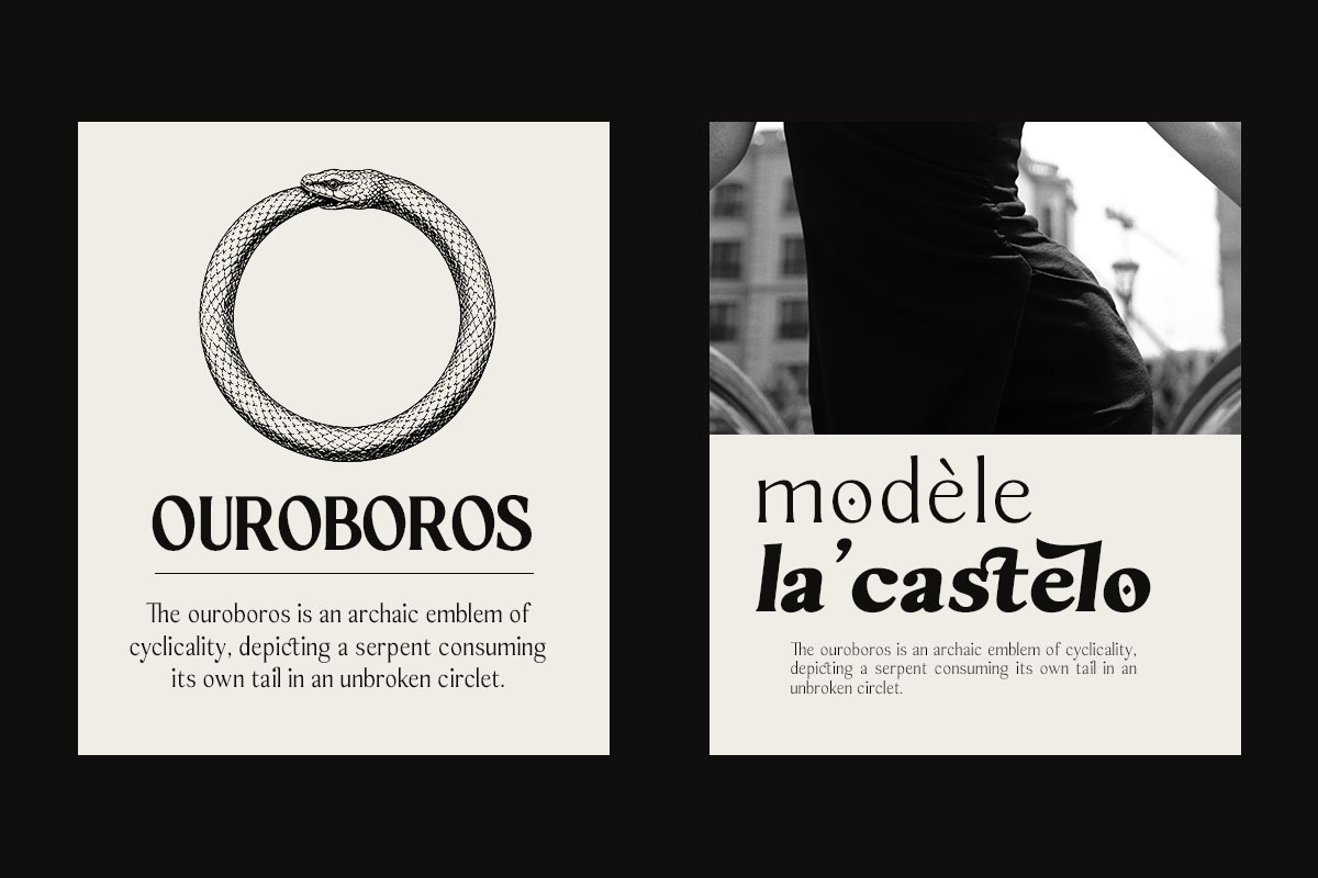 Sonne | 12 Fonts, a Serif Font by Skinny Type (Photo 4 of 11)