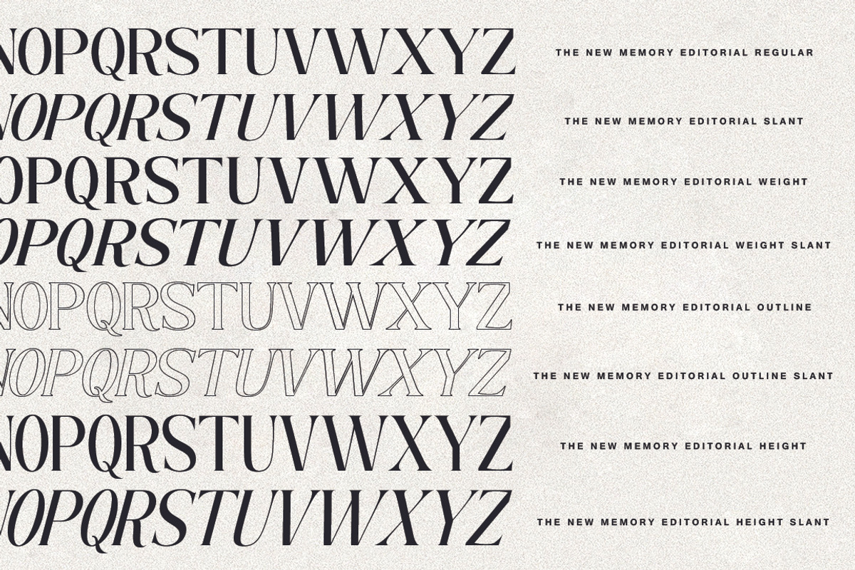 The New Memory, a Serif Font by TM Type (Photo 15 of 17)