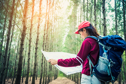 Female tourist travel in pine woods trip hiking during vacation., a Person Photo by Ministocker