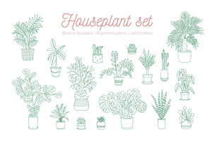 Houseplants Growing In Pots