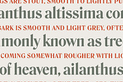 Range — A Vintage Classic Serif Font, a Font by Inlay Studio (Thumbnail 6 of 7)