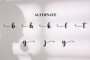 Lady | Script Font, a Handwritten Font by Scratchones (Thumbnail 8 of 9)