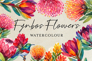 Watercolor Fynbos Flowers