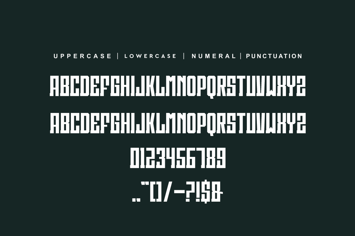 Hero Synergy, a Serif Font by alon kelakon (Photo 4 of 5)