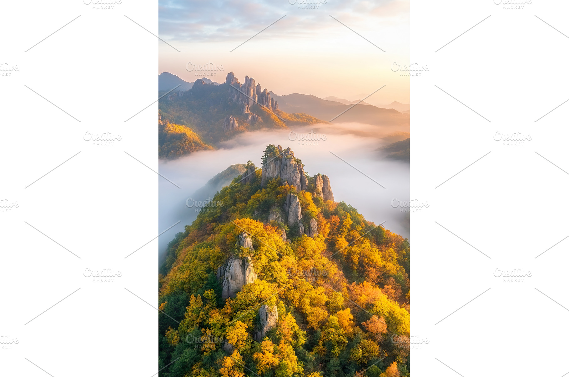 Autumn Foliage and Mist Enshrouded, an Animal Photo by Lermont51