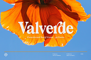 Valverde Functional Serif-36 Fonts, a Serif Font by Jehoo Creative (Thumbnail 1 of 15)