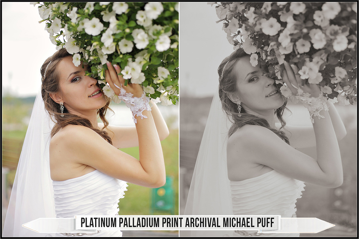 Platinum Palladium Prints LUTs, a Plug-in Add-On by Raztrend (Photo 25 of 32)