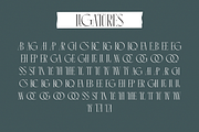 Chevani - Classic Condensed Serif, a Serif Font by Surplus Type Co (Thumbnail 3 of 7)