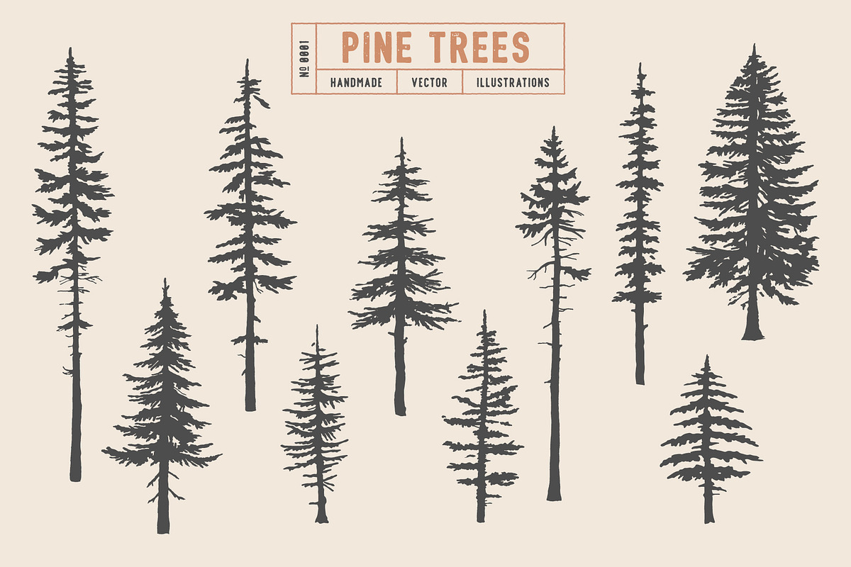 Woodland Tree Set | Illustrations, an Illustration by Max Lockwood (Photo 2 of 6)